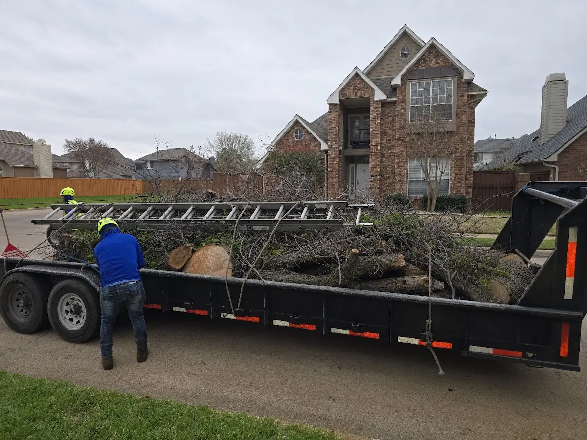 Expert Tree Fertilization with proper safety equipment in Clarks
